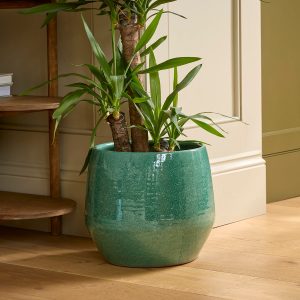 Geneve_green_indoor_plant_pot