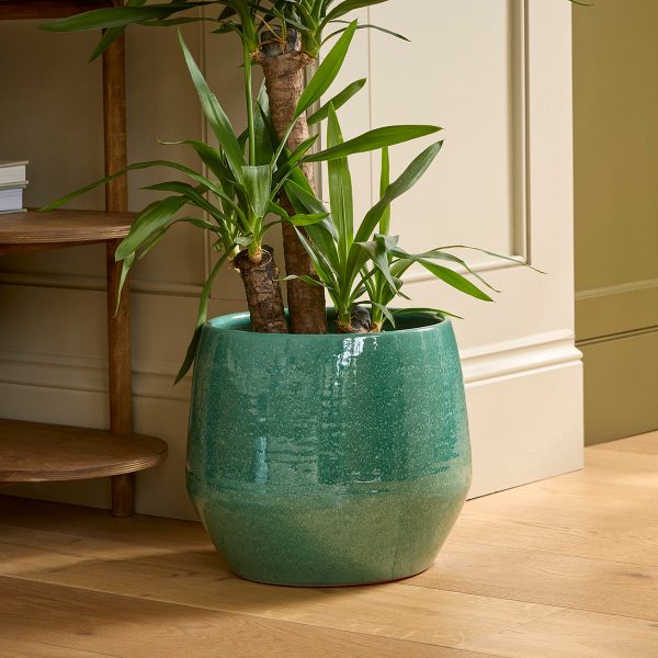 Geneve_green_indoor_plant_pot