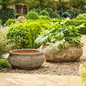 Monet-ancient-bowl-planter