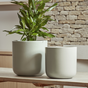 Nova_Indoor_Plant_Pot_in_Cream