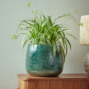 Ramada_Indoor_Plant_Pot_in_Blue