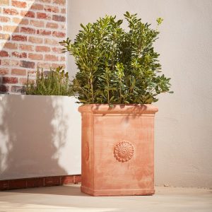 Rosetta_Square_Italian_Terracotta_Plant_Pot