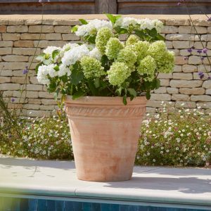 Sienna_Terracotta_Pot