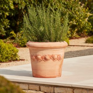 SorrentoLargeCitrusItalianTerracottaPlantPot