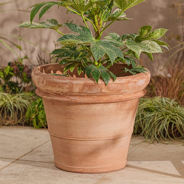 Venice_largeItalian_terracotta_plant_pot