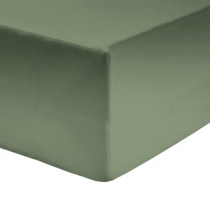 3205235_R_Z001A