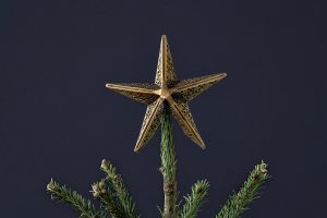 Bishakha-Star-Tree-Topper-nkuku