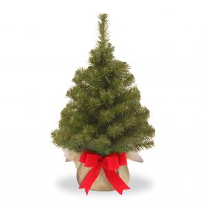 RFNB2-20BP-2_-Noble-Spruce-Tree-In-Burlap-Bag-With-Red-Bow-Front1