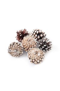 m0670586504676_brown_xl