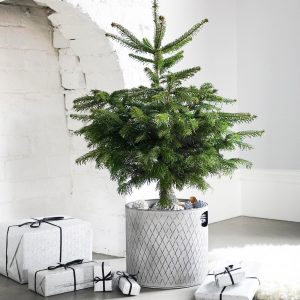 m5055352847556_silver_xl