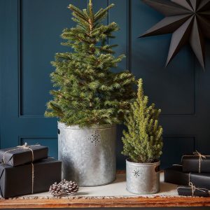 m5055352852512_grey_xl