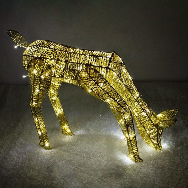 m5055986149385_gold_xl