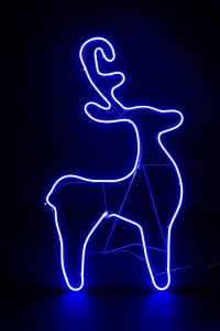 m5056141059075_blue_xl