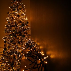 m5056589115913_gold_xl