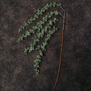 m5056589120634_green_xl