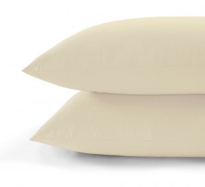 pearlivorystandard_7dfc48e4-b94f-49e9-84a2-1b389ea3530f