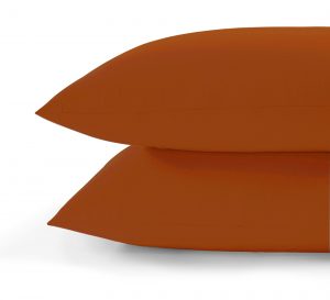 pottersclaytandardpillow_036635a1-2cea-4b31-830c-45d9245fc670