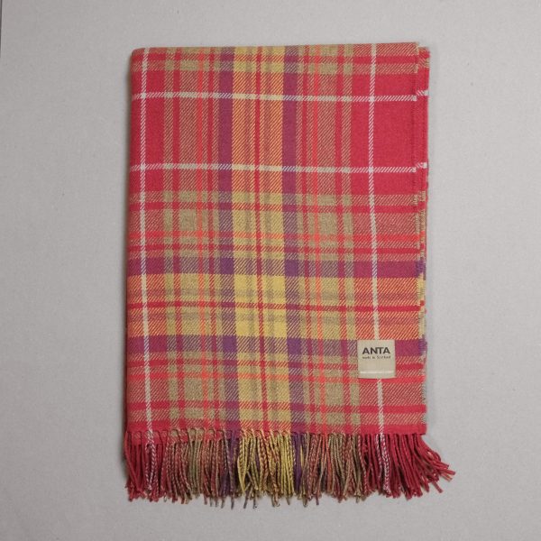 Lachie_Stewart_Throw_ANTA_Scotland_-48